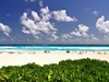 Grand Oasis Cancun #4